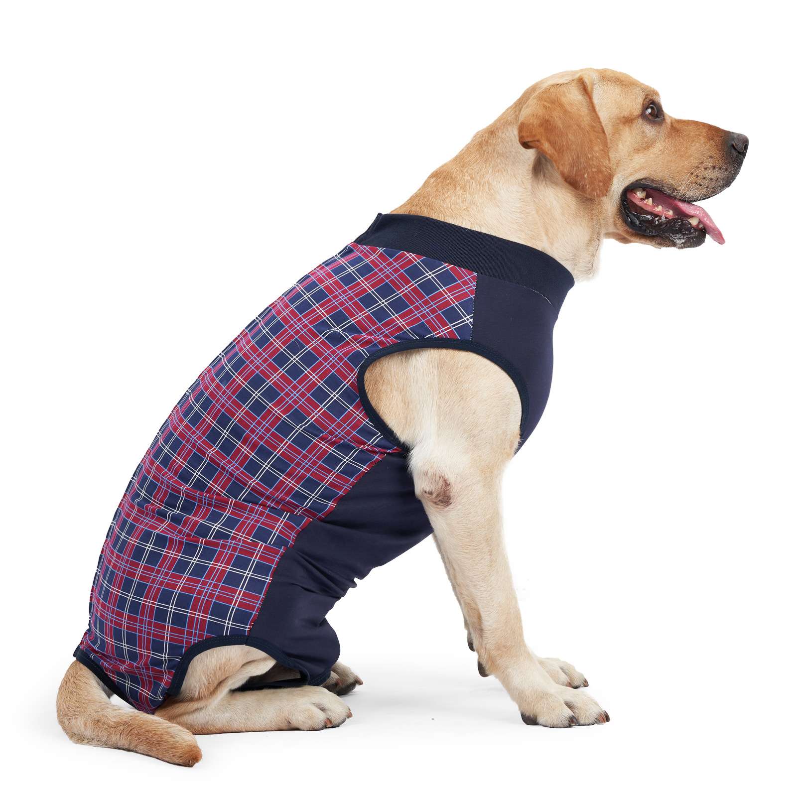 Cross -Bordder Dog Clothing Cats и собачьи домашние животные легко носить собак после ношения собак, отлучения высоких бомб, реабилитации, собачьей одежды