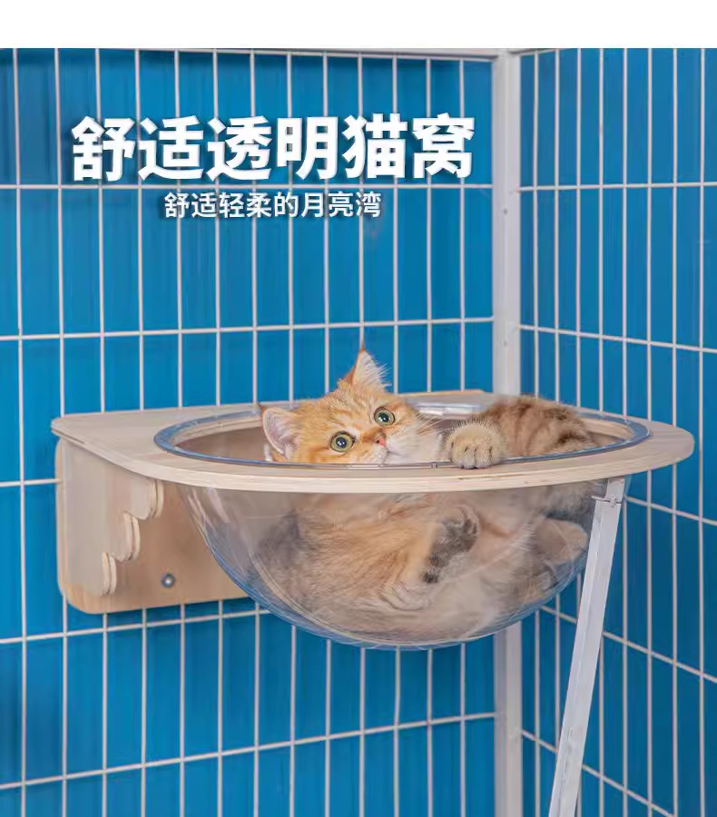 Кошачья клетка кошачья кошка на стене -на стене -космическая салона с трамплинарной панмингом