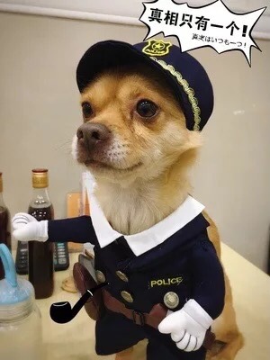 Pet Dog Cat Смешная интернет -знаменитость превратилась в полицейскую медсестру -медсестру, доктор смешная тема, вертикальная одежда