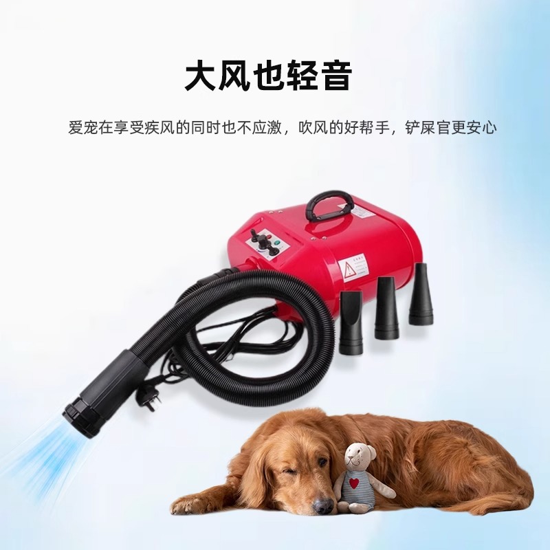 Chunzhou Double Motor Pet Pet Pet Shop Средний и большая собака Золотая ретривера Samoyed High Power Silent Drucker