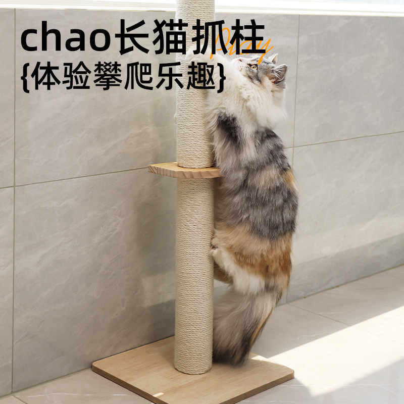 Кошачья царапающая колонна скалолаза