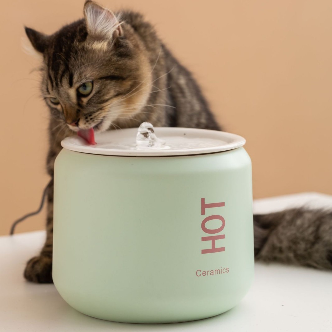 Кола Pet Water Dispenser Cat Water Dissenser Ceramic автоматический живой вода плагин с антиохлаждением проводной интеллектуальной кормушки для воды