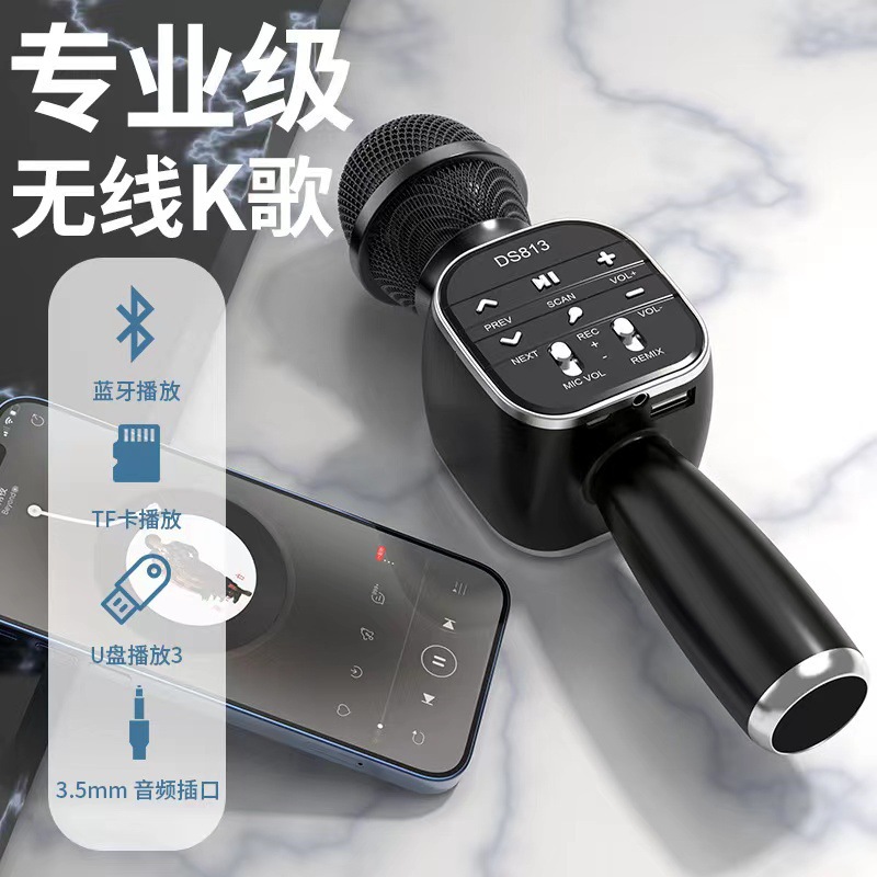 Беспроводной караоке-микрофон WSDER DS813 Bluetooth