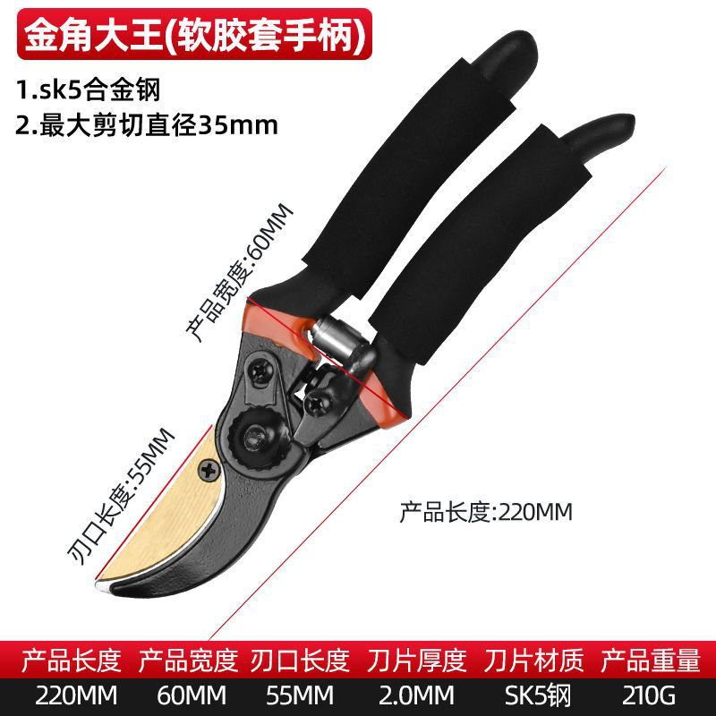 Pruning shears, gardening shears, specialized shears for pruning tree branches, garden pruning, new pruning shears for fruit trees, pruning floral arrangements, pruning shears