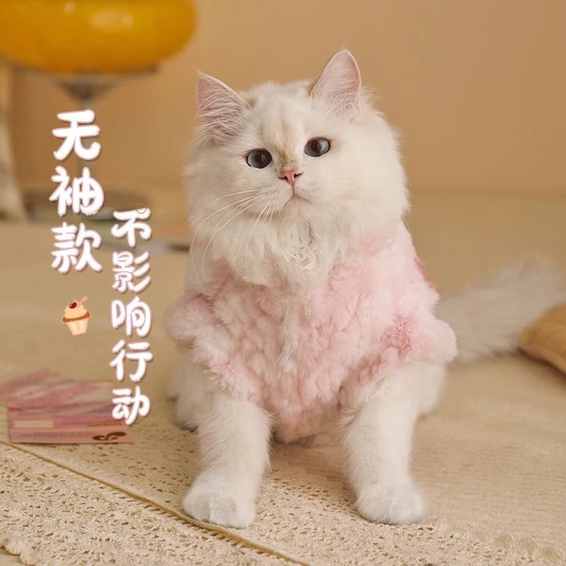 Кошачья одежда в зимней теплой котенок котенка на английском языке на английском