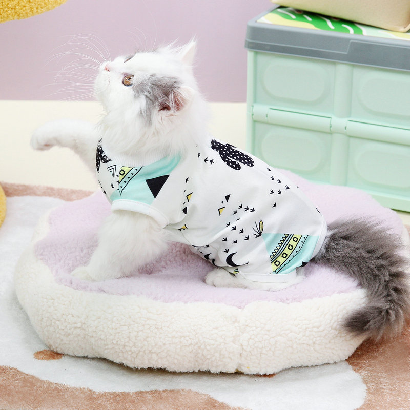 2024 Cat Coolmark Hurergy Surgery самка кошка Broken Catal Pet Pats Supplies после Catal Cat