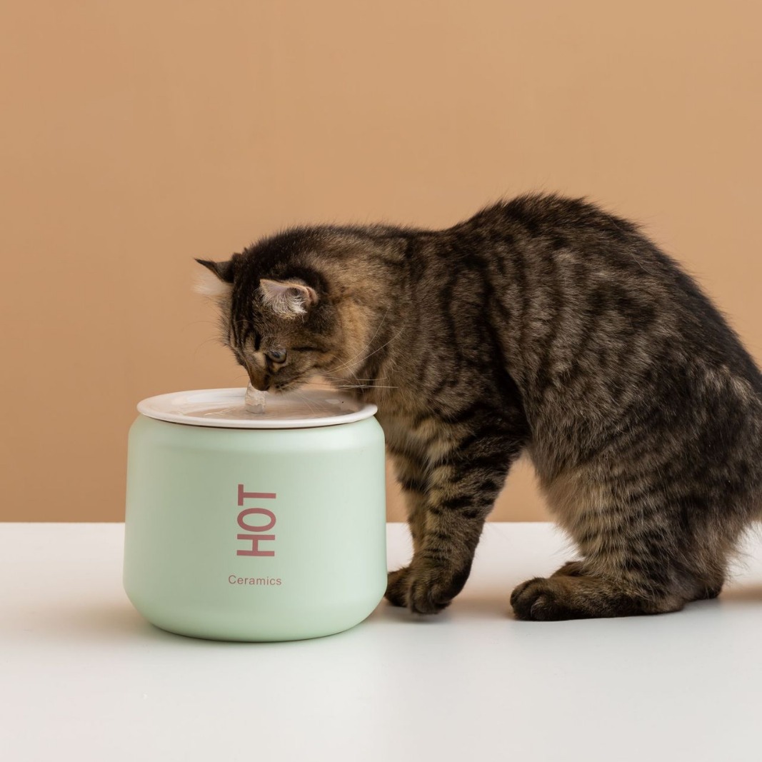 Кола Pet Water Dispenser Cat Water Dissenser Ceramic автоматический живой вода плагин с антиохлаждением проводной интеллектуальной кормушки для воды