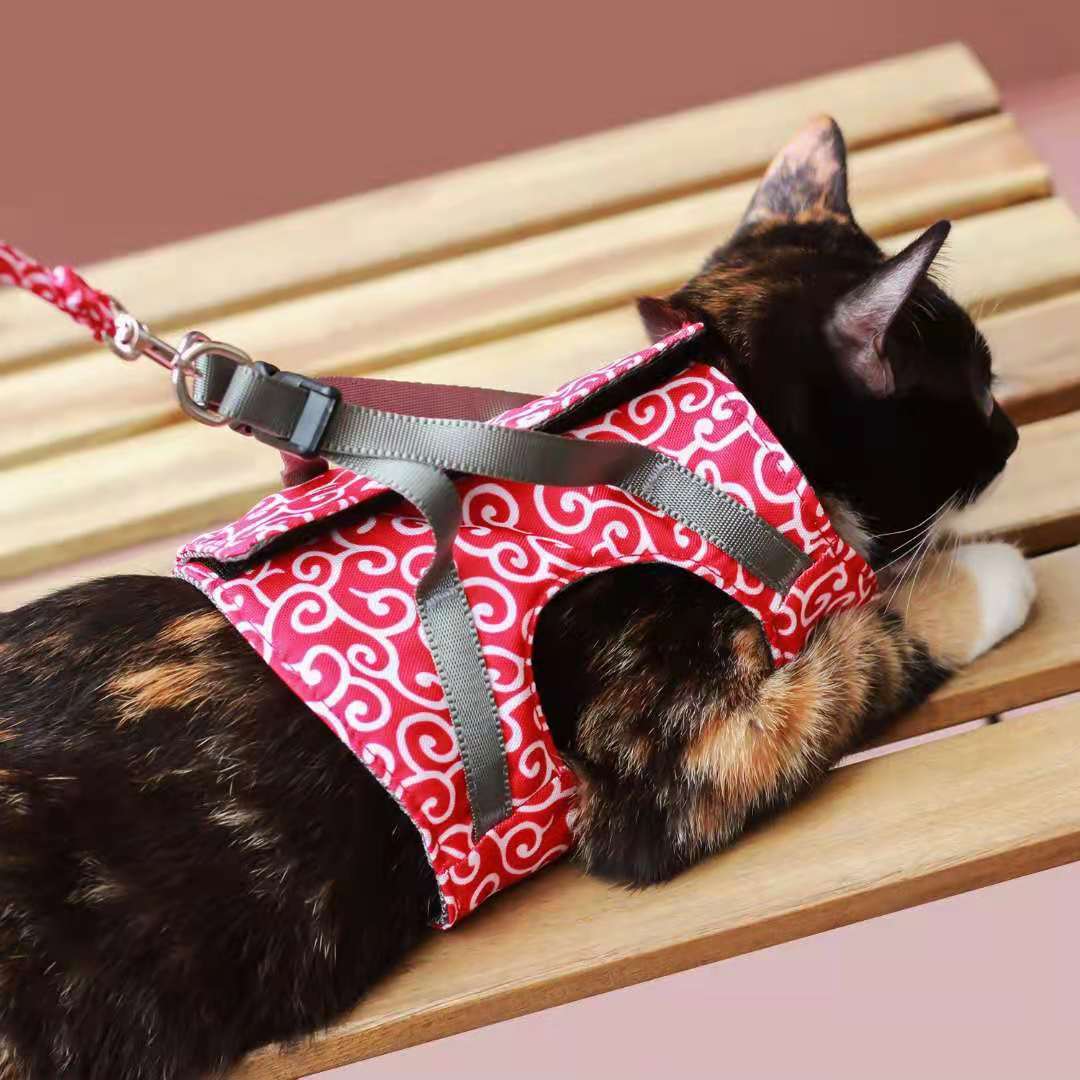 Кошачий жилет на спинку грудной клет