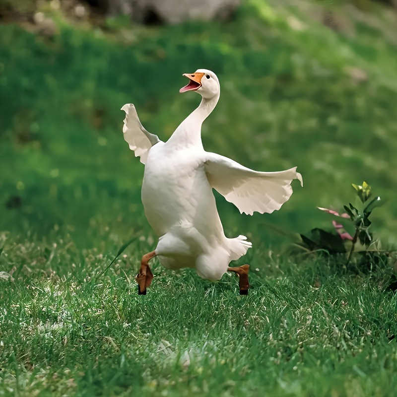 Cross border cute goose 2D acrylic garden stake lawn potted plant decoration ground inserted flowerpot embellishment props