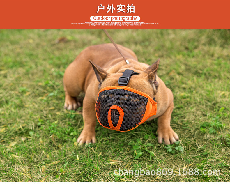 斗牛犬眼罩6.jpg