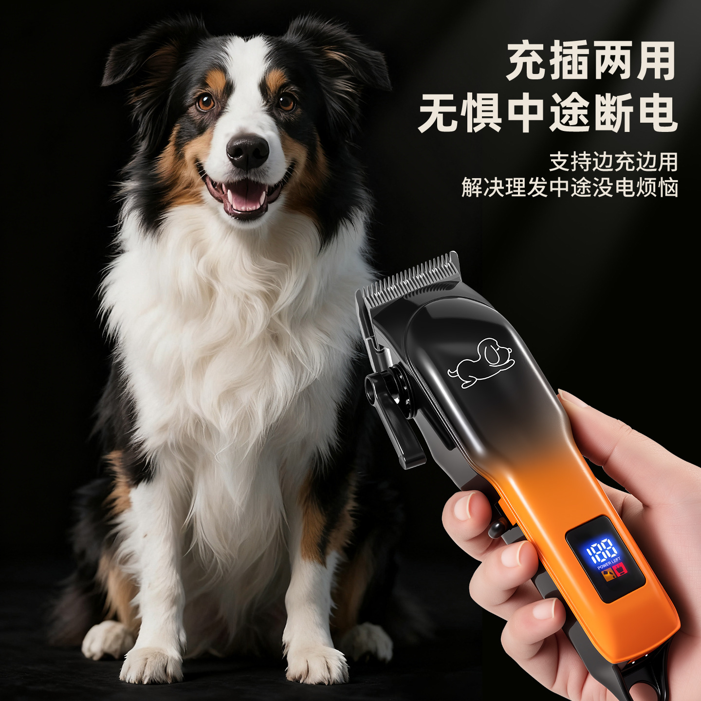 Pet push Profession