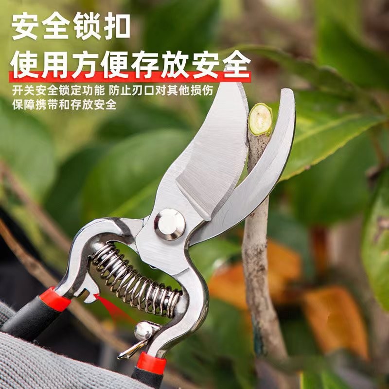 Cross border wholesale fruit tree pruning scissors, fruit tree pruning shears, gardening shears, pruning shears, V8 fruit tree pruning shears, small scissors