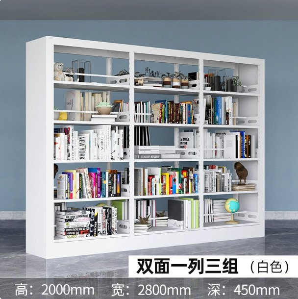 Steel bookshelf, book reading rack, household book storage rack, archive storage rack, double-sided data rack, minimalist design