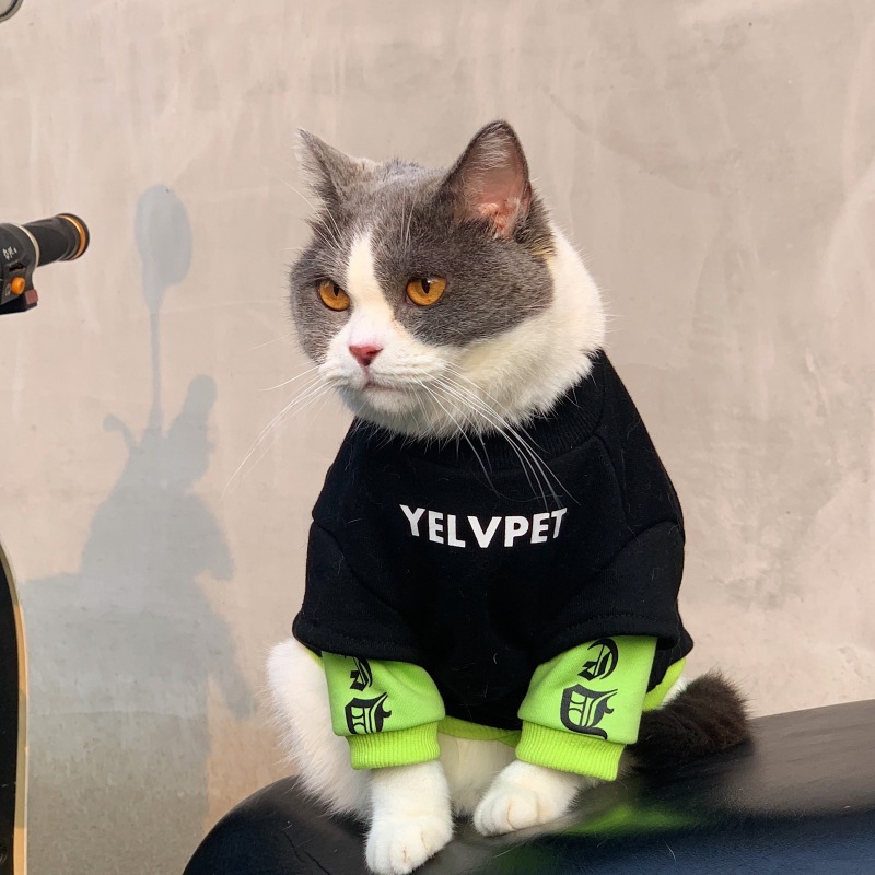Осенние и зимние кошки, собаки, приливная одежда для бренда куколка Cat Blue Cats Anti -Fur Mear маленькая собака Sherina Pet плюс бархатный свитер