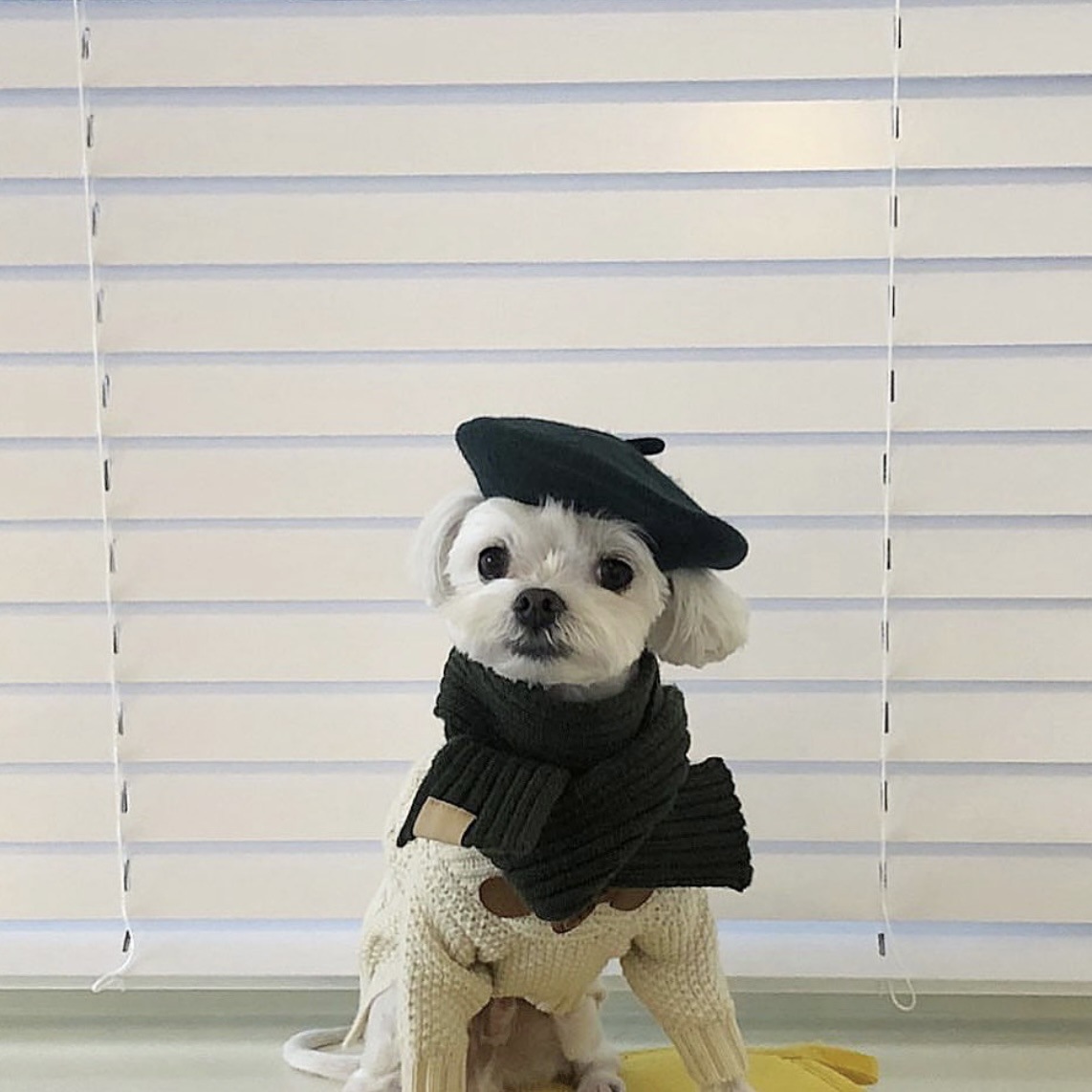 微信图片_20210919133202