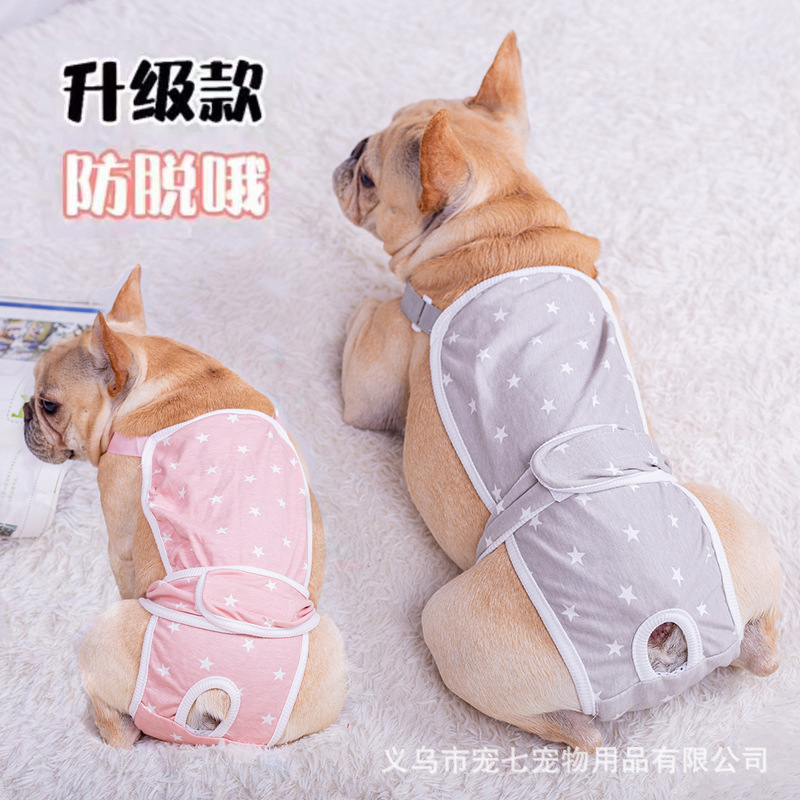 FA Dou Dog Dog Star Biological Banns Teddy Corgi Puppy Pabble Pacific Pet Pet Pat Panti