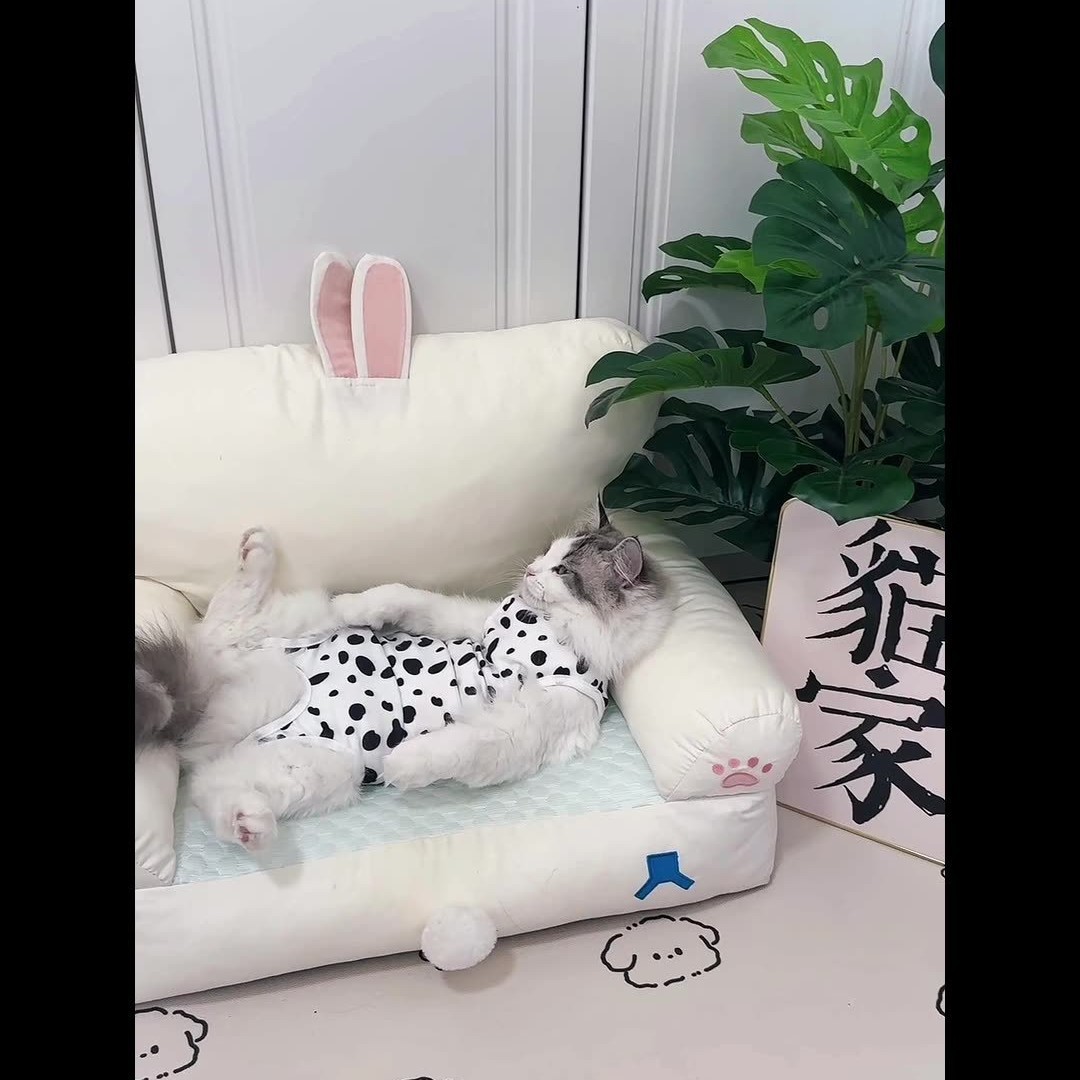 Стерилизованная одежда для кошек Женская хирургия кошачья одежда дышащая одежда, увольнение молока, молоко, молоко, домашняя мужская сука кошка после операции против