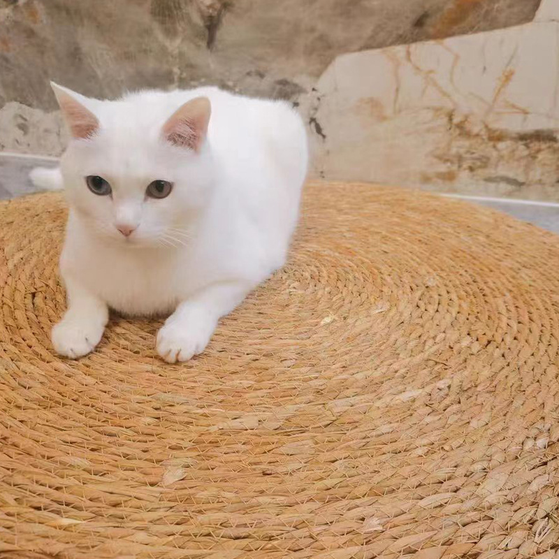 Плетеный коврик для кошек Pucao из натуральных материалов