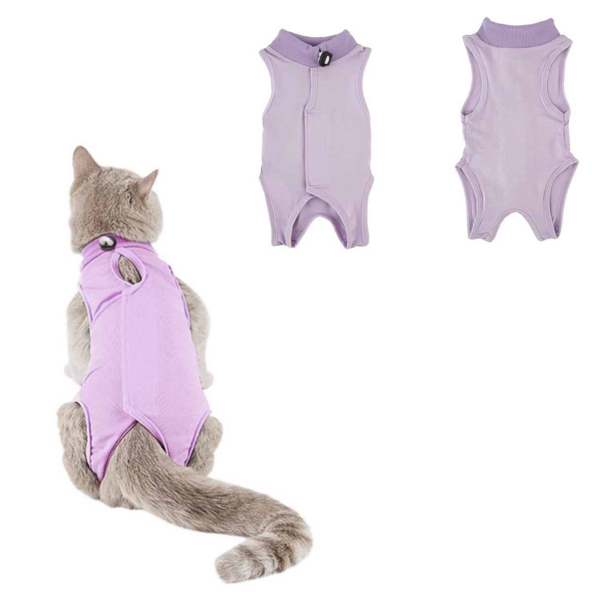 Amazon Cat Coolmark Older Catten Broken Cat Broken Cat