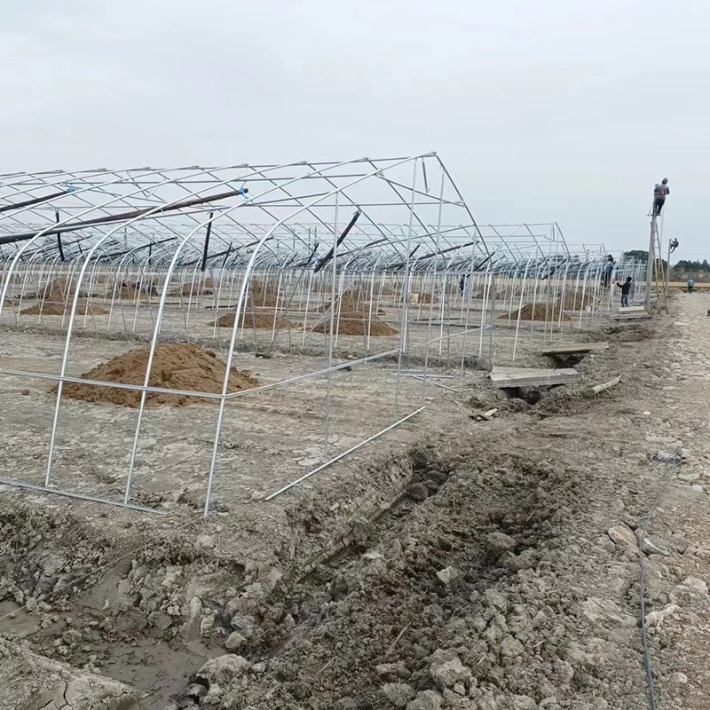 Single temperature chamber greenhouse skeleton installation, simple household flower and vegetable cultivation greenhouse, vegetable planting single greenhouse