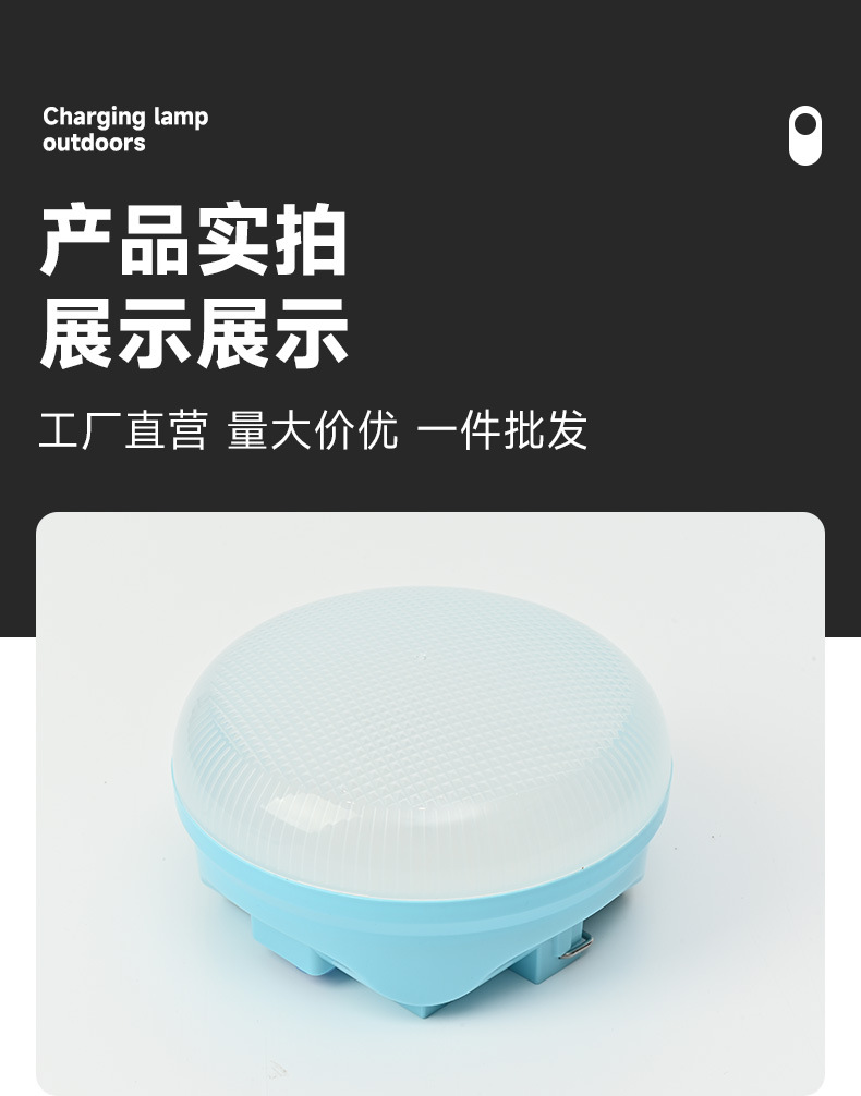 Solar powered LED lights, extremely bright energy-saving lights/specially designed for foreign trade/camping camping lights, outdoor night market stall emergency lights