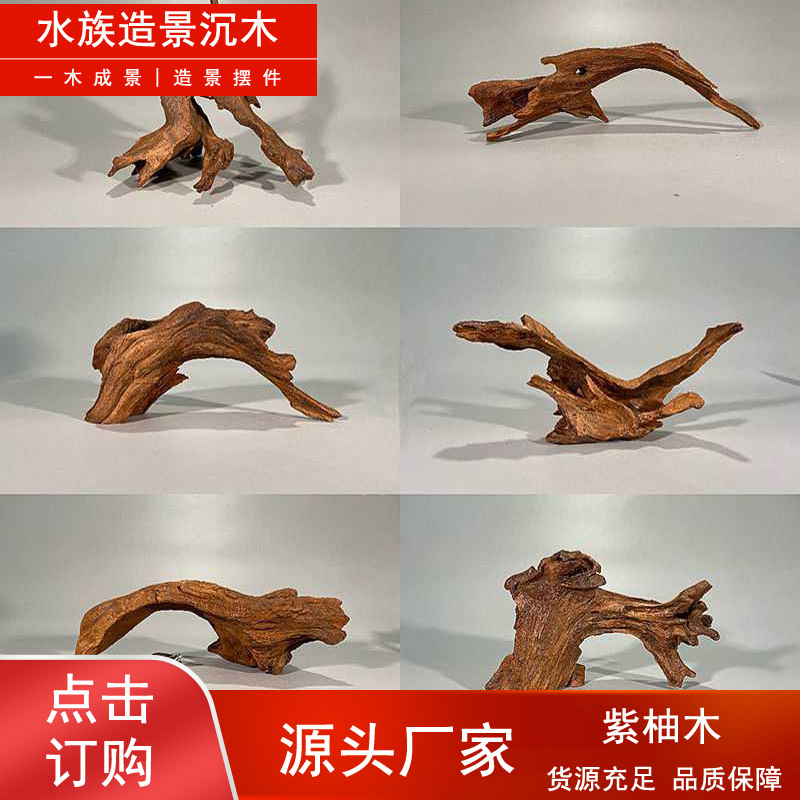 紫柚木
