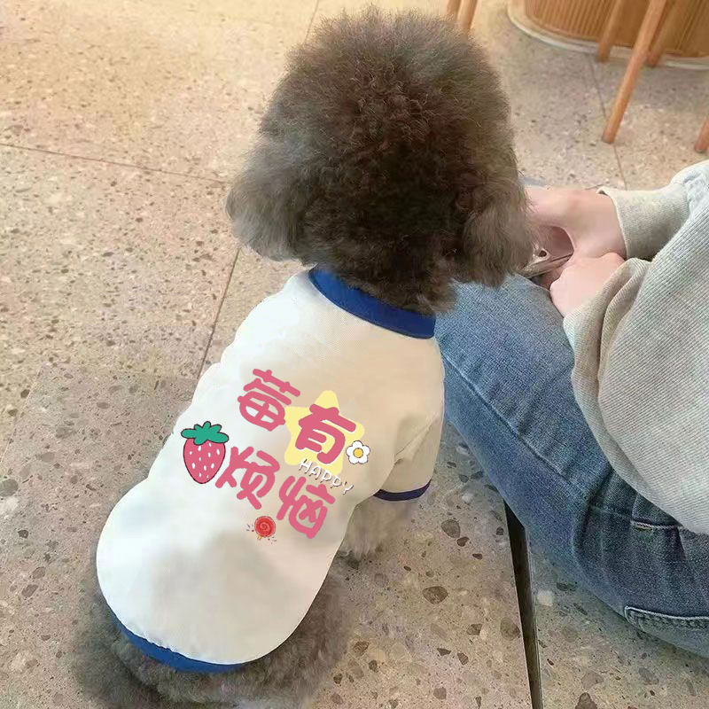 Summer Ins Pet Dogs и кошачья одежда четыре сезона