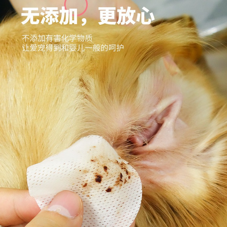 Pai Rui Ear Wep Scarf Cat Wipe ушная стойка Золотая мао -самай чист 100 кусочков общего мокрого шарфа на ухе