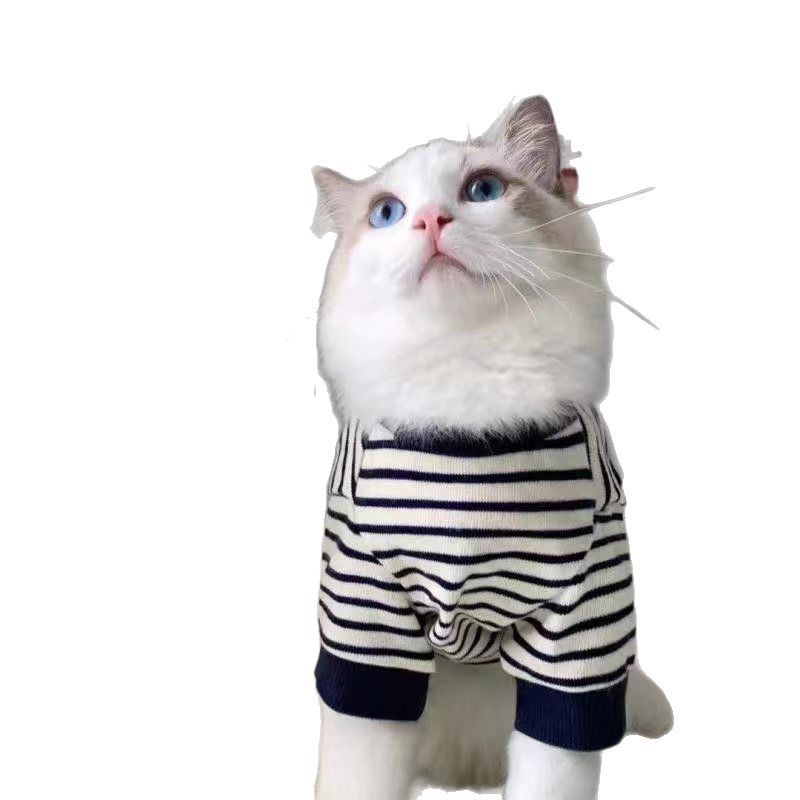 Summer Ins Pet Dogs и кошачья одежда четыре сезона