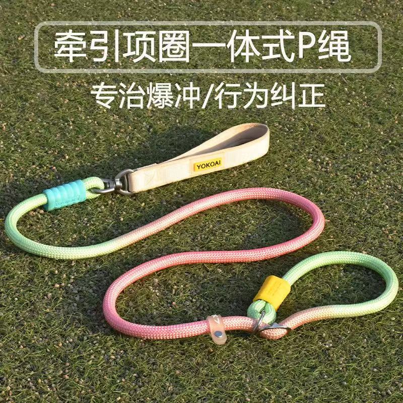 Новая горячая распродажа собака, защищенная от P-Rope, анти-бьет