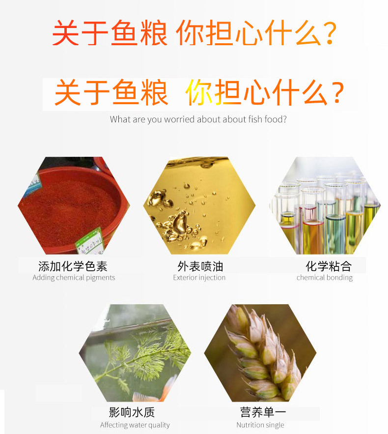 观赏鱼通用详情_03
