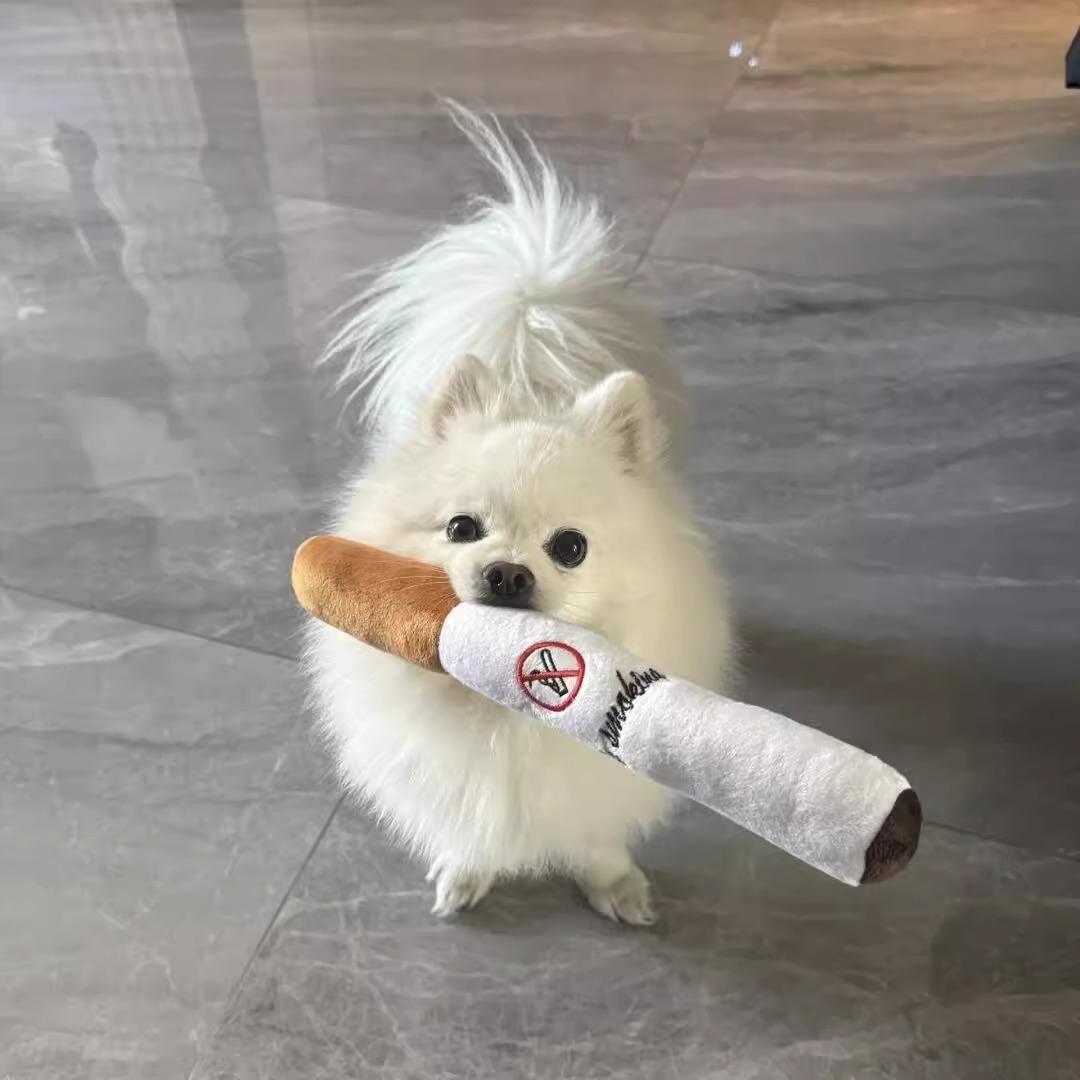 Dog Sound Toy Plush Cigarette Puppy Scleding Yeews и кусание самодоволенного щенка Bichon Pet Saplies