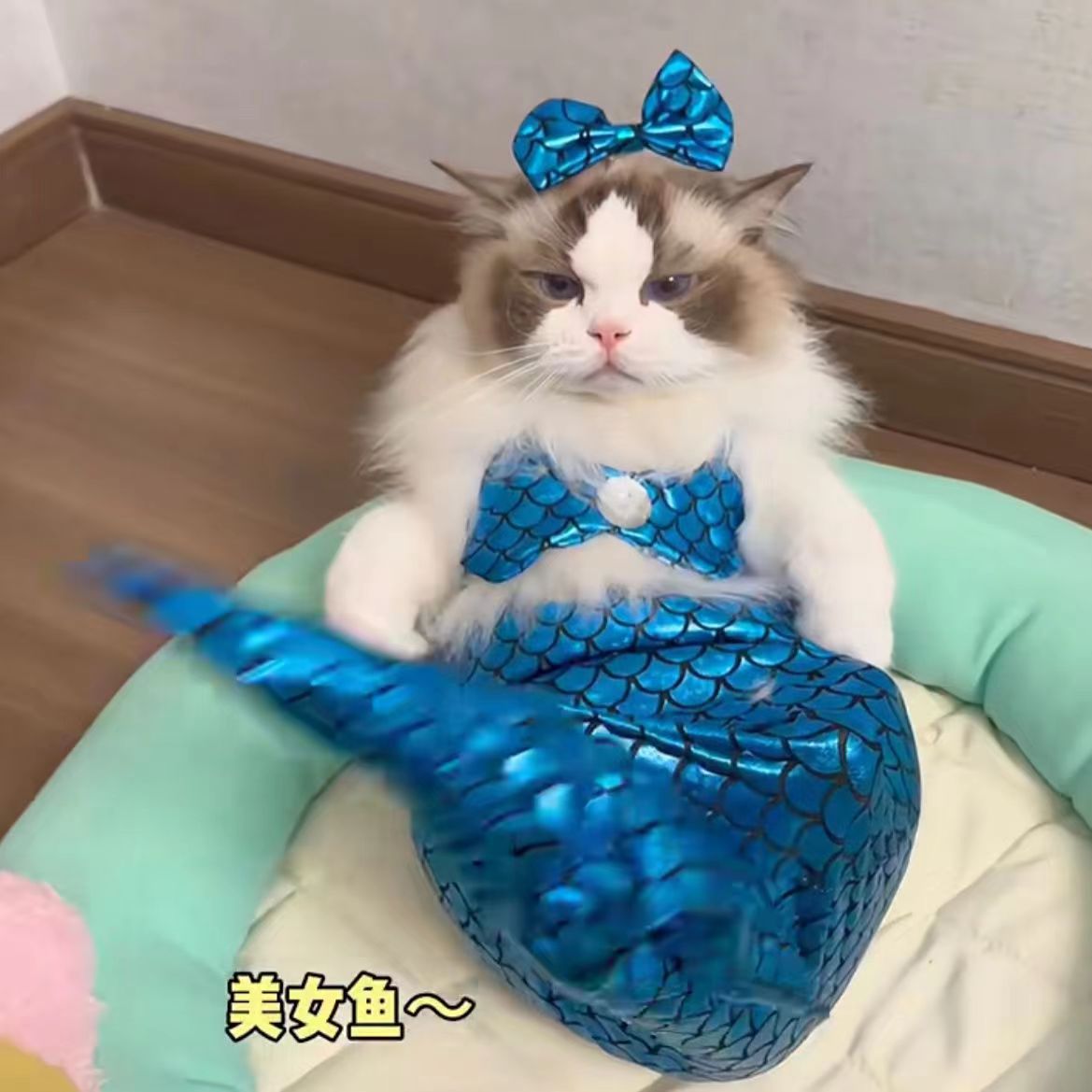 Собака, кошка, стиль русалки, забавный купальник, костюм, бикини, реквизит, одежда с хвостом русалки