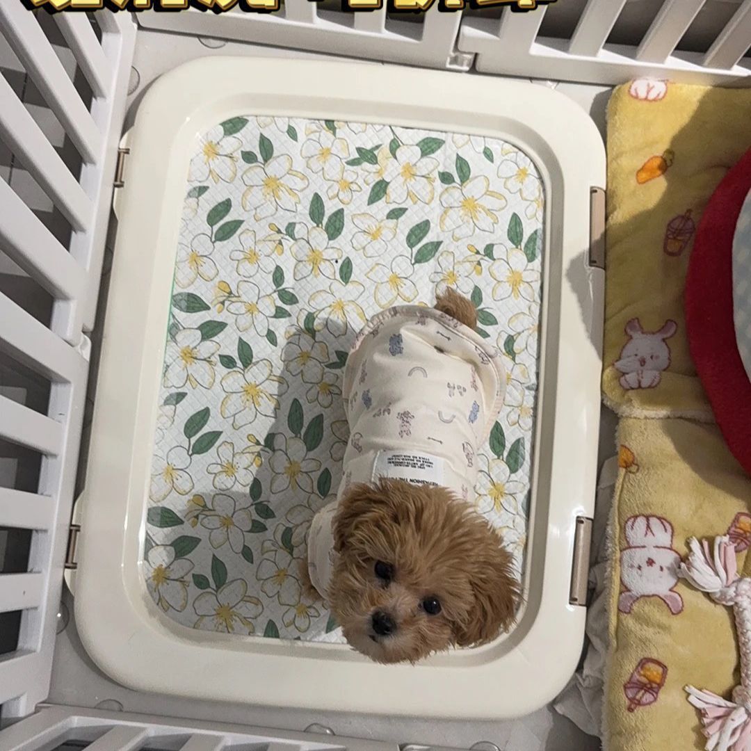 Алиса собака туалет pooter pettty grid маленький щенок собаки Алиса таблетка собака туалет