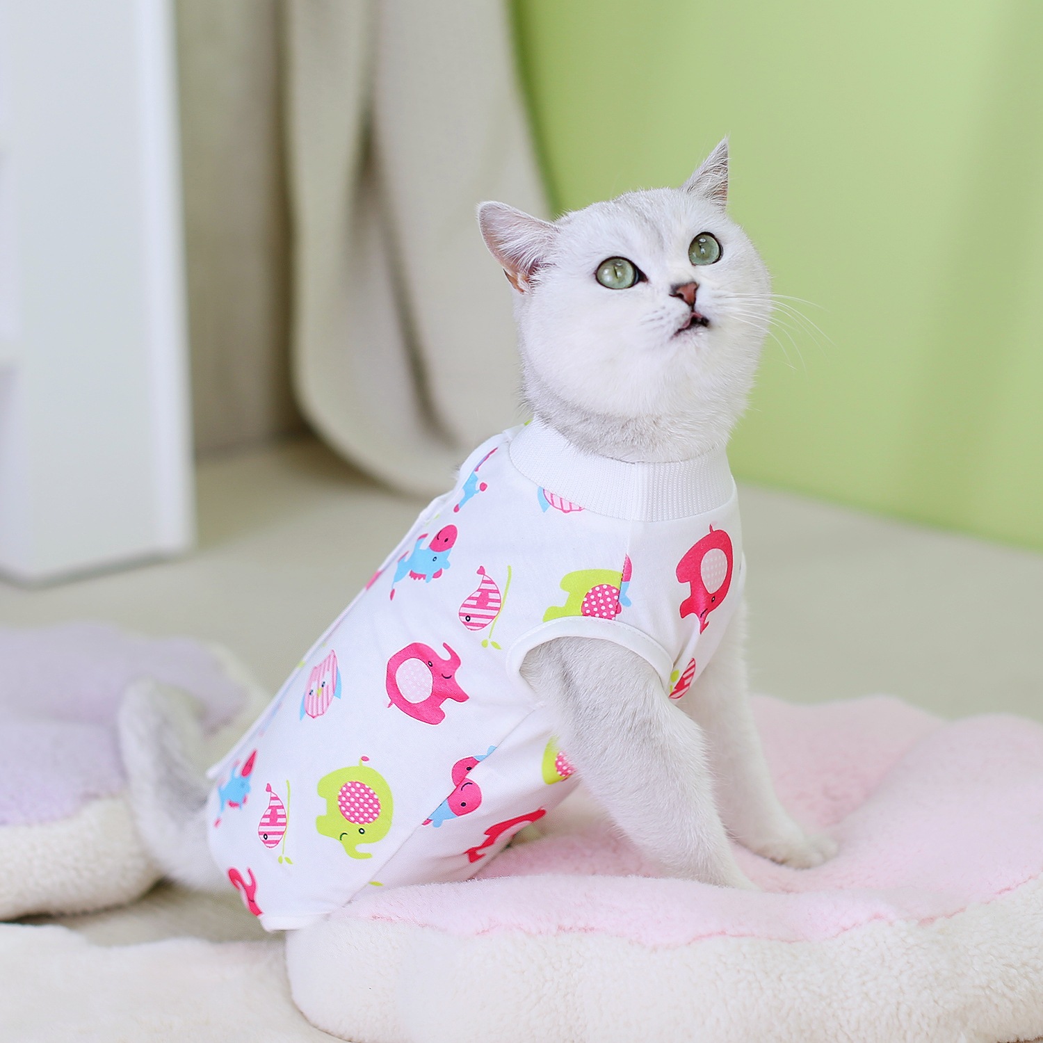 2024 Cat Coolmark Hurergy Surgery самка кошка Broken Catal Pet Pats Supplies после Catal Cat