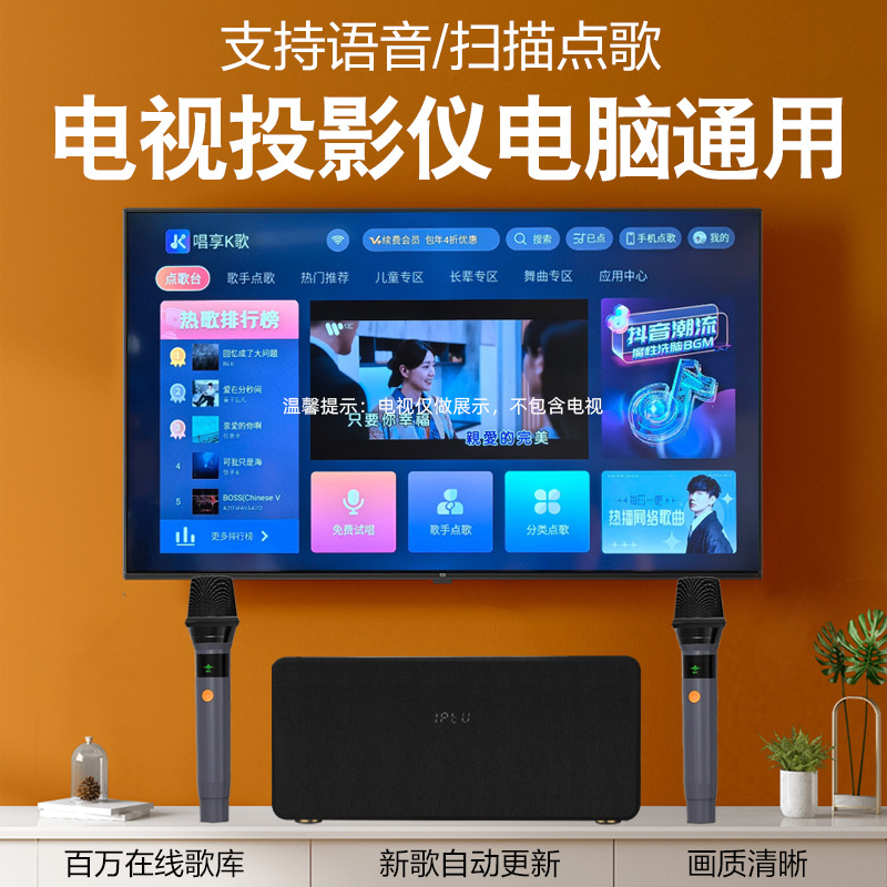 Домашняя KTV система с беспроводными микрофонами Other