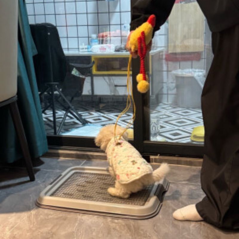 Алиса собака туалет pooter pettty grid маленький щенок собаки Алиса таблетка собака туалет
