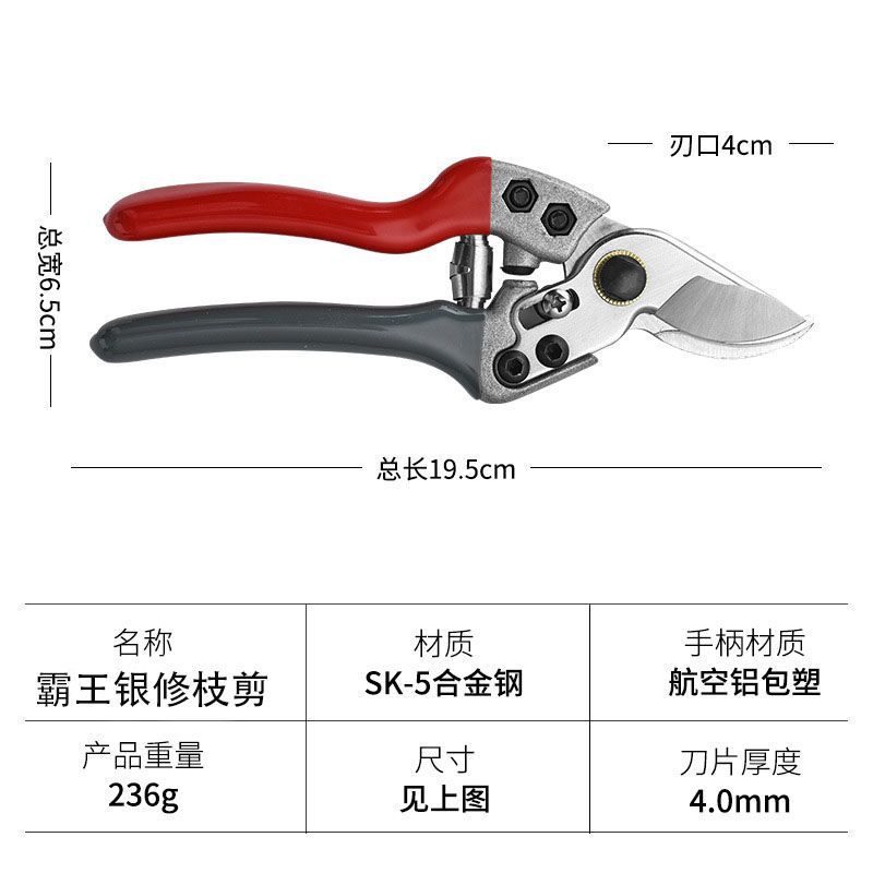 Pruning shears, gardening shears, specialized shears for pruning tree branches, garden pruning, new pruning shears for fruit trees, pruning floral arrangements, pruning shears