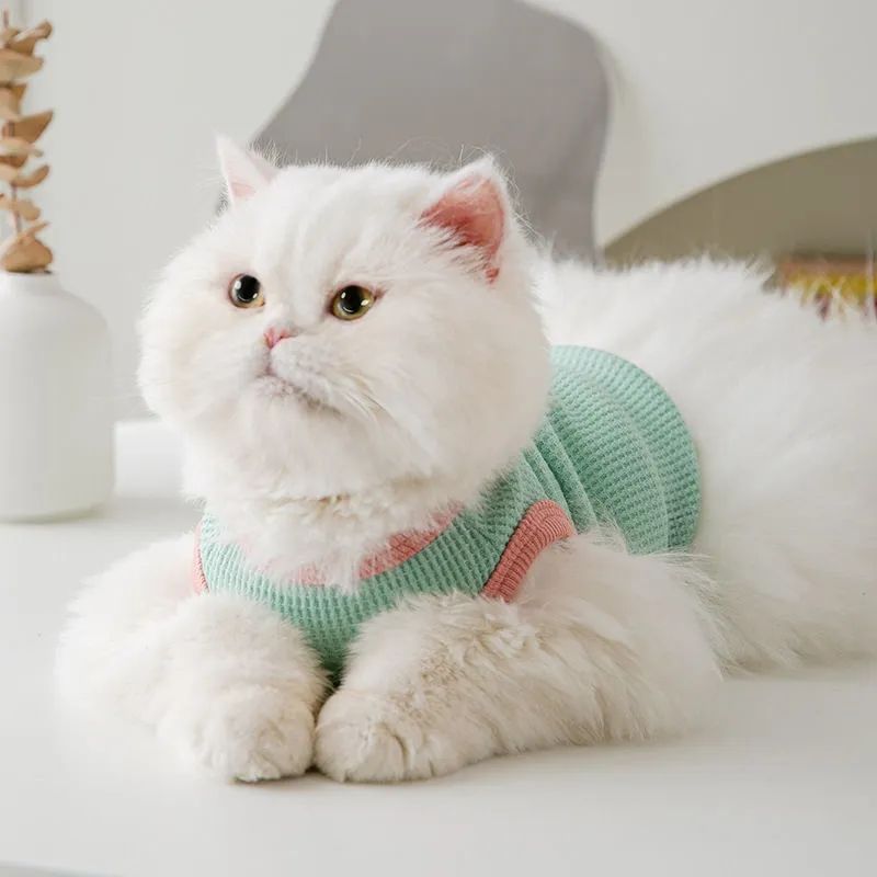 Летние собаки и одежда для кошек Walfje Vest Pet Одежда, чтобы предотвратить маленькую собаку Лянгби Бемаи Тедди