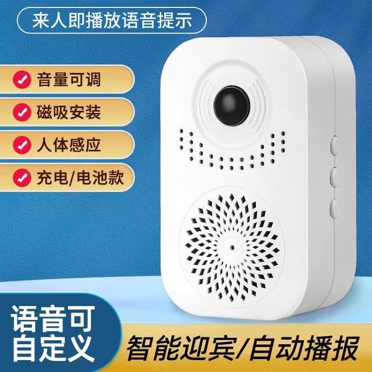 Датчик входа с голосовым оповещением Dingdong Voice Store