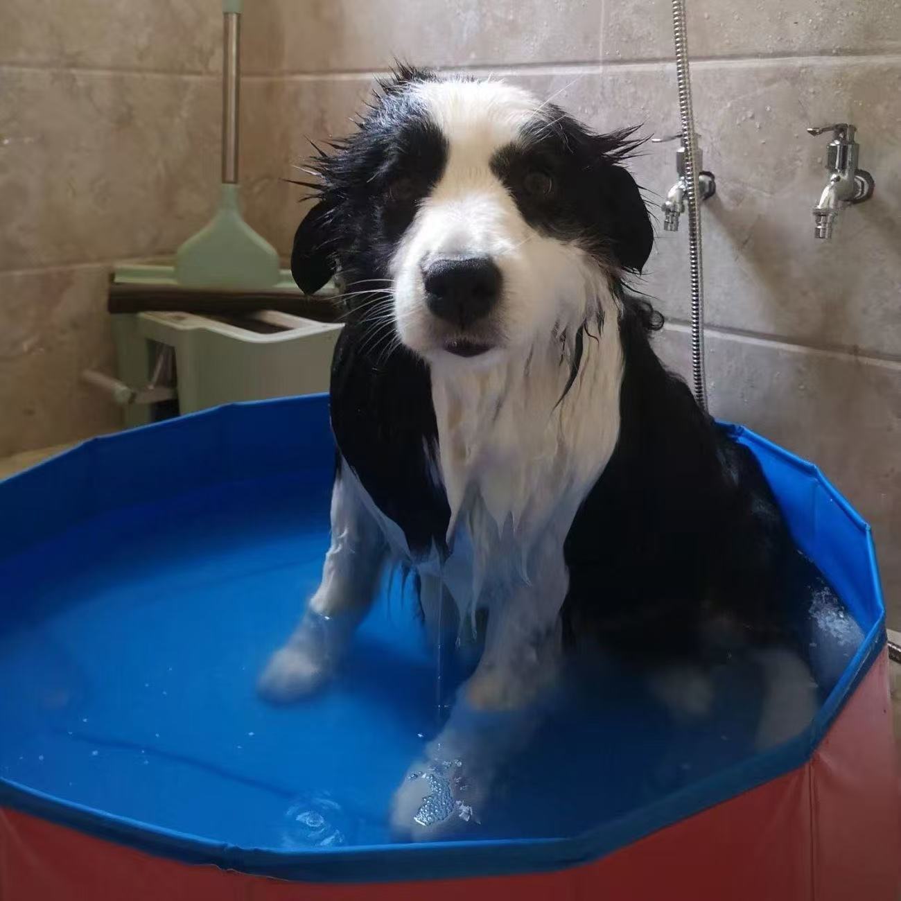Swimming pool, children's pool, outdoor pool, pet shower basin, foldable cat litter box, pet shower basin, dog pool