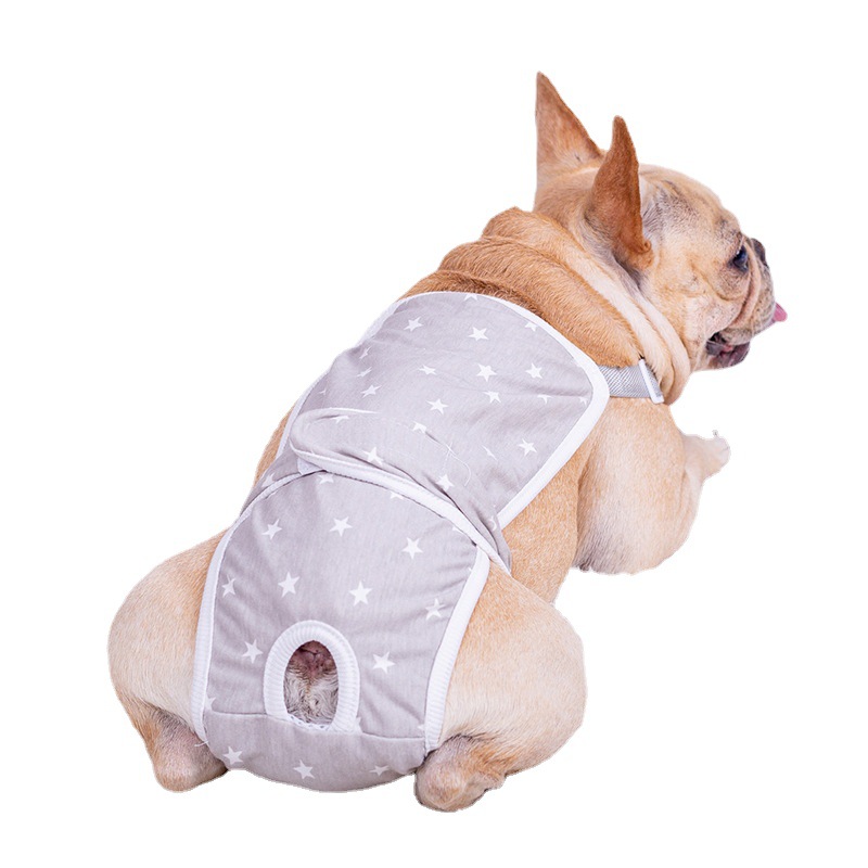FA Dou Dog Dog Star Biological Banns Teddy Corgi Puppy Pabble Pacific Pet Pet Pat Panti