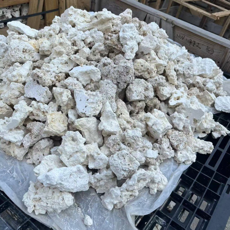 Java Stone Dry Rock Sea Bar Landstone в Индонезии заменяет живой сидень морской камень коралл искусственно эксплуатирует культуру мертвых камней
