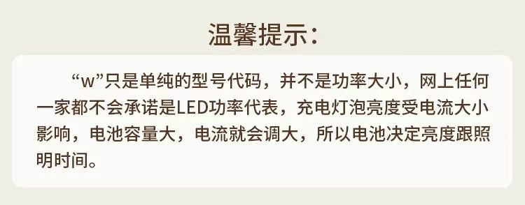led户外灯泡露营摆摊灯usb充电款球泡灯足功率充电灯泡户外露营野