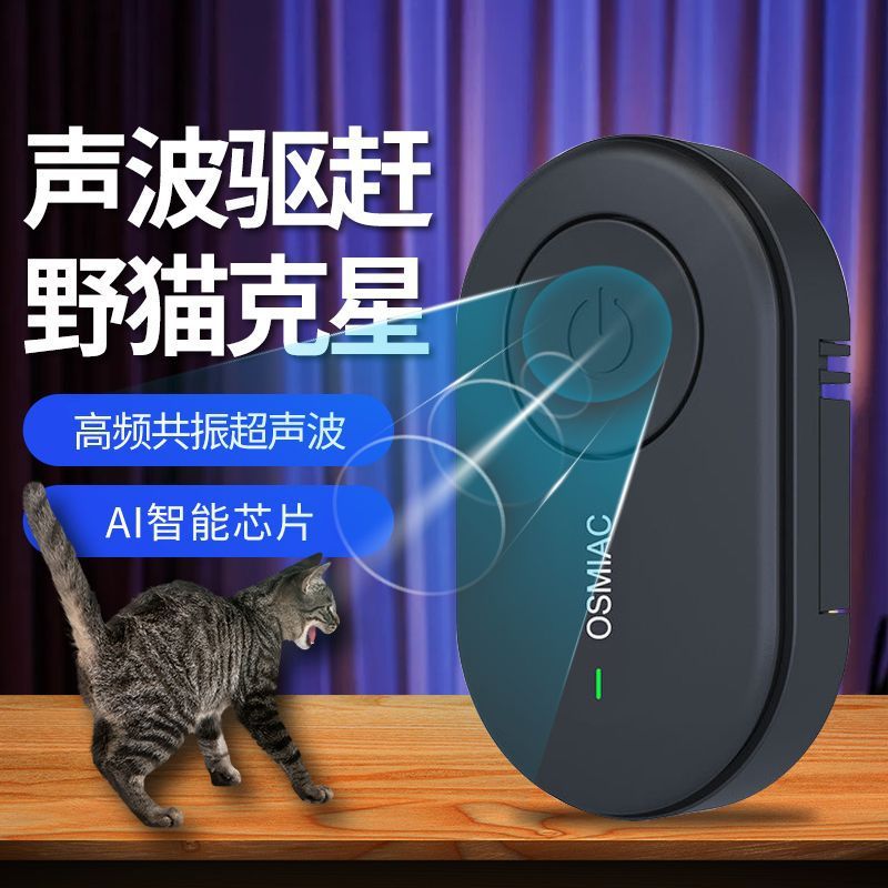Кошка, снимая артефакт, открытый главный ультразвуковой ультразвуковой ультразвуковой ультразвучный кошачий кошка на открытом воздухе Специальная страшная кошка с ограниченной территорией.