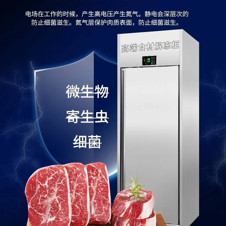 肉类解冻设备家用商用大容量风冷无霜卧式速冻保鲜冷藏设备批发