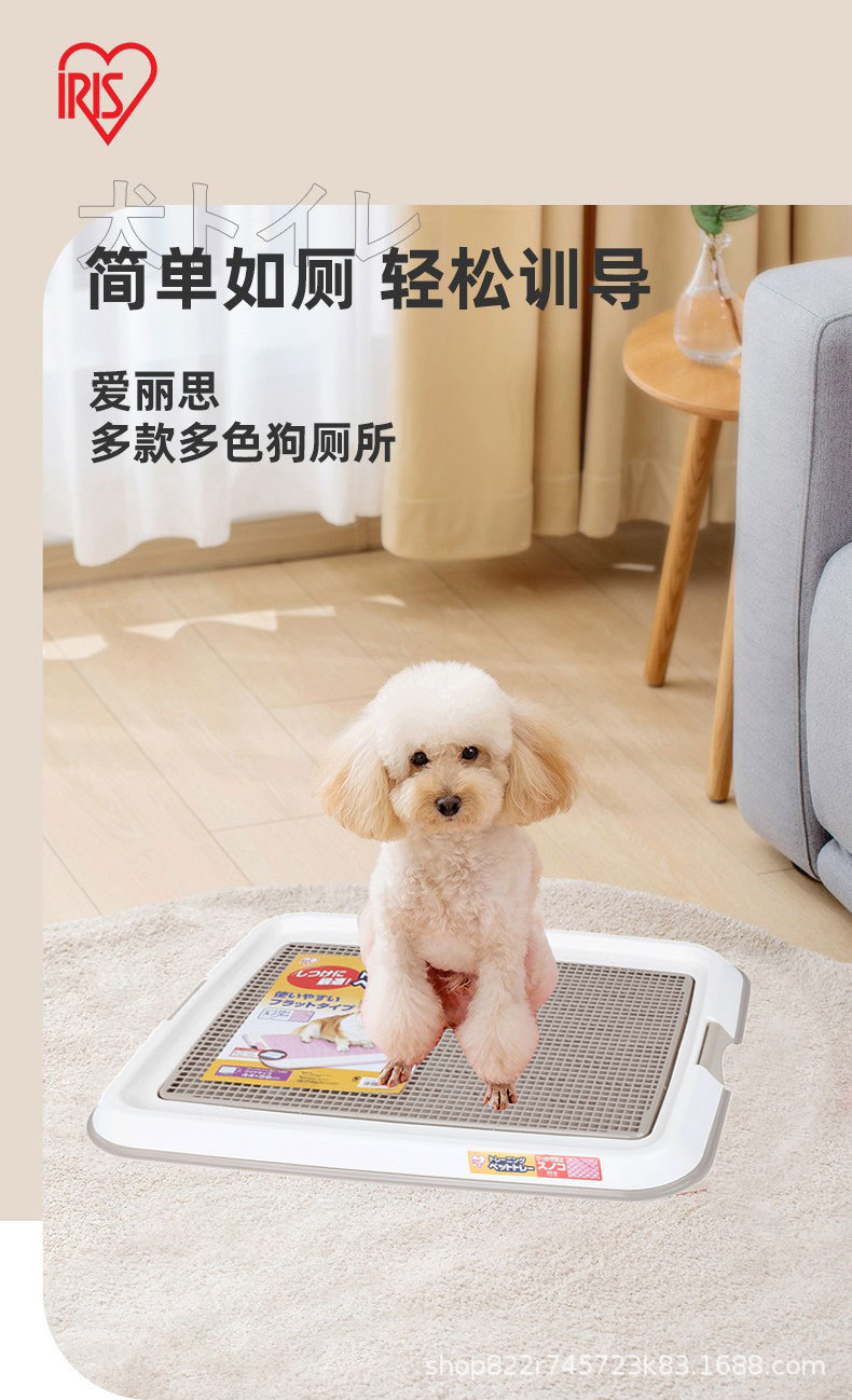 祥情第一张.jpg