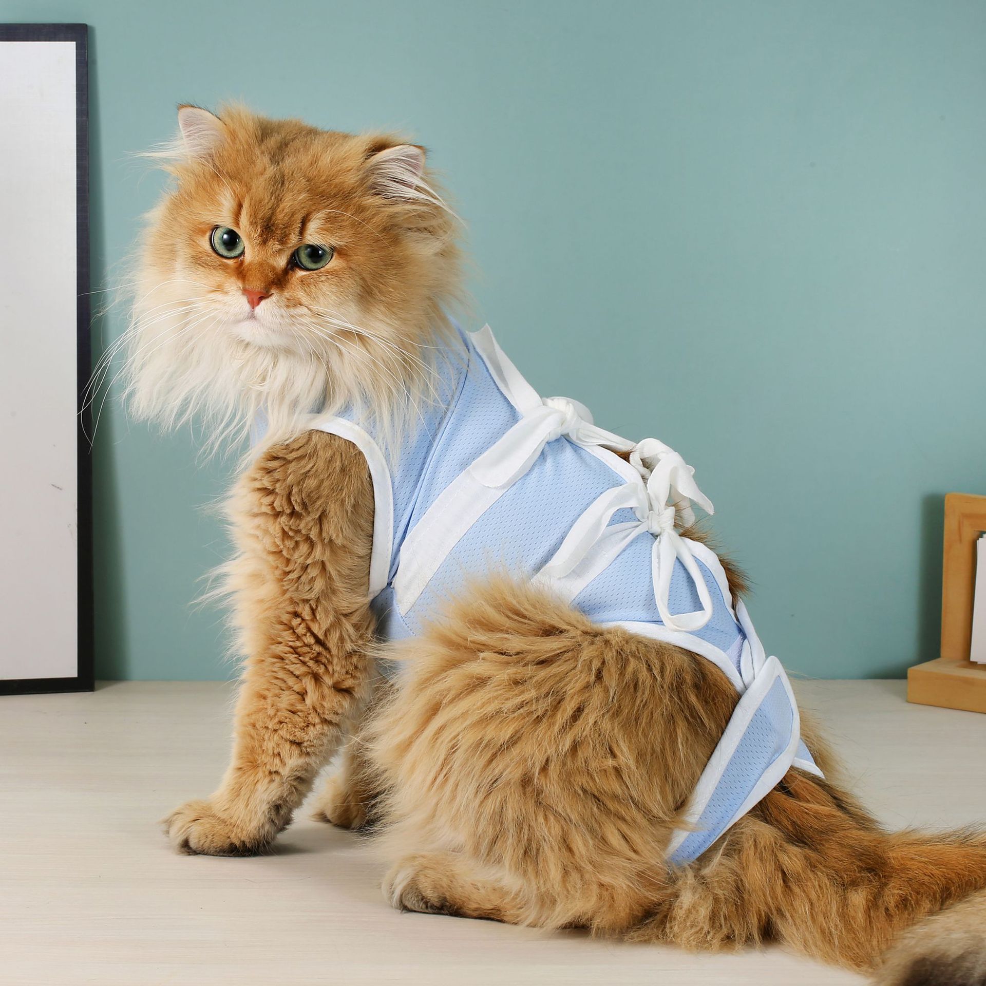 布鲁猫 Костюмы стерилизации для костюм для хирургических подходов для домашних животных для женских кошек отлучение от отлучения от ликования и предотвращения домашних животных для удаления волос после операции