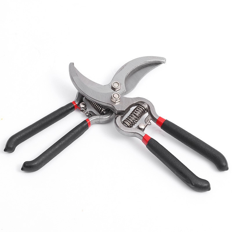 Cross border wholesale fruit tree pruning scissors, fruit tree pruning shears, gardening shears, pruning shears, V8 fruit tree pruning shears, small scissors