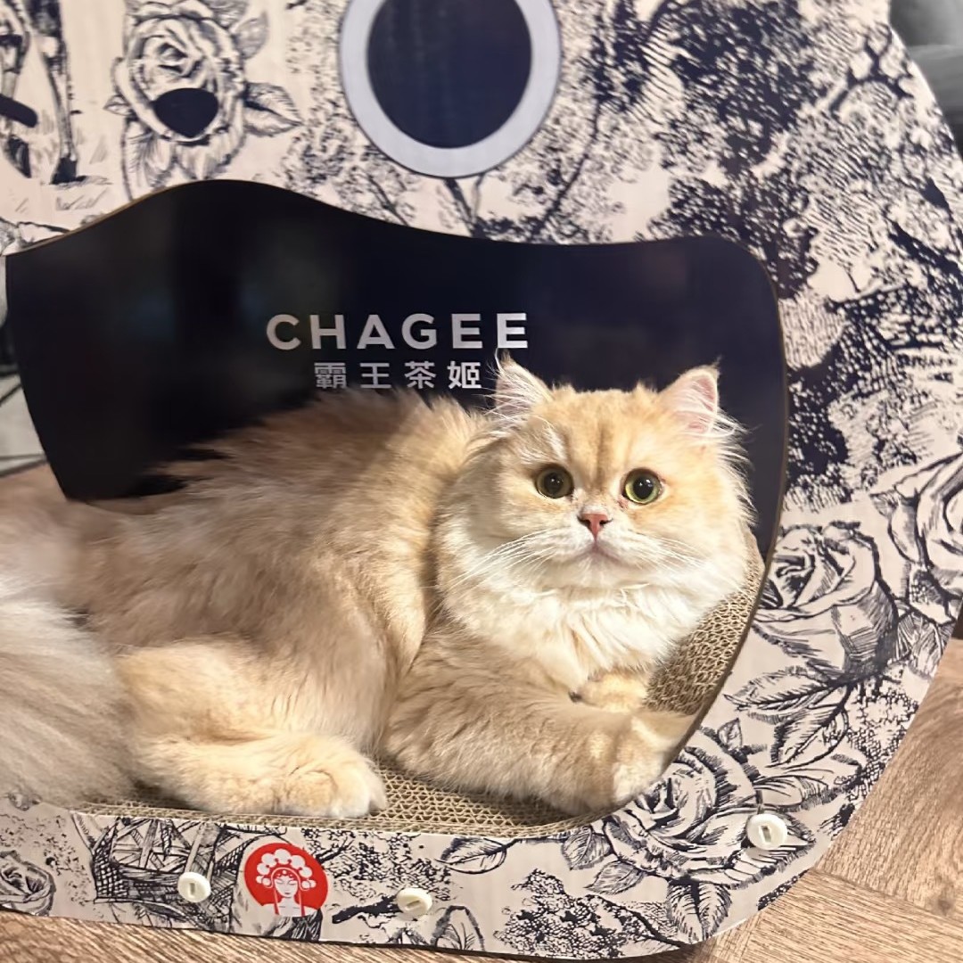 Когтеточка-гнездо для кошек KunMeow из гофрированного картона